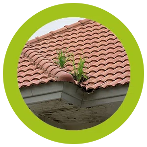 West Palm Beach Restoration Expert West Palm Beach, FL 561-406-0350 West Palm Beach Restoration Expert West Palm Beach, FL 561-406-0350 - sb-ser-01